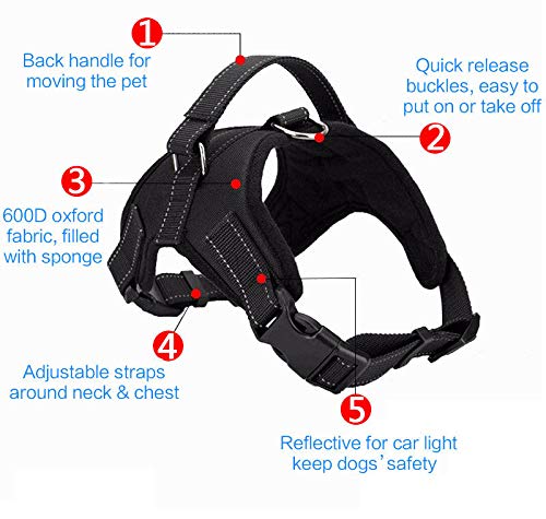 Harness Front Clip Pet Dog Adjustable Breathable Mesh Lightweight Easy Control for Outdoor Training