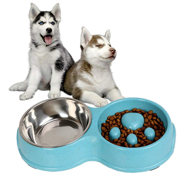 Paw Dual Feeding Stainless Steel And Plastic Bowl