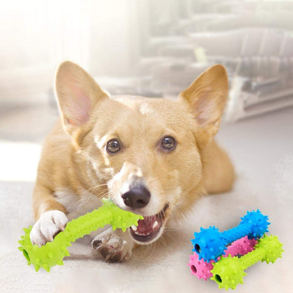 Pets toy Puppies Rubber Dental Teeth Chew Bone Play Training Fetch