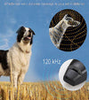 2 In 1 Pet Dog Training Clicker Cat Training Whistles