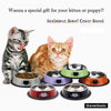 Stainless Steel Bowl For Cats Kitten And Puppies