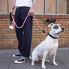 Reflective Braided Rope Pat Walking Big Dog Leash Strengthen Traction