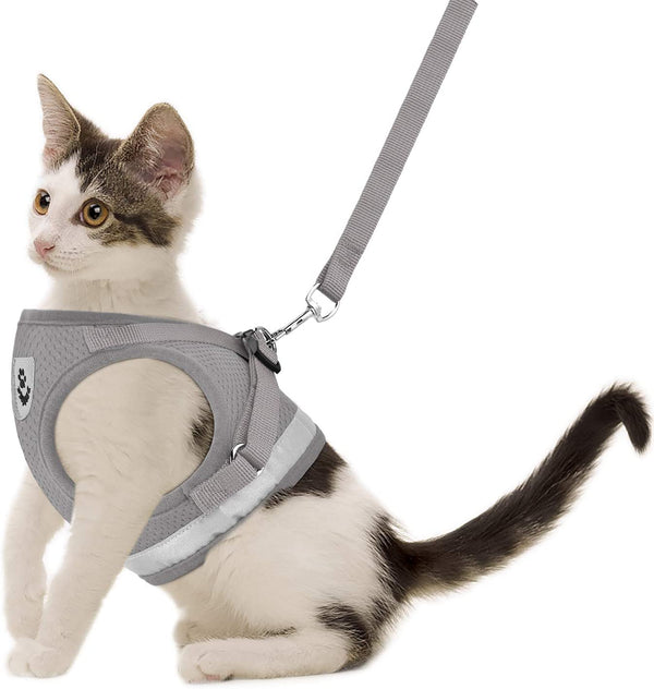 Mesh Harness with Leash Strap Pet Cat Dog Puppy Reflective Nylon
