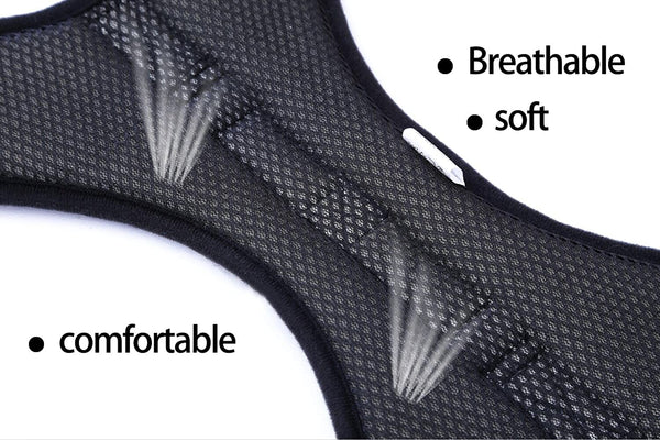 Harness Front Clip Pet Dog Adjustable Breathable Mesh Lightweight Easy Control for Outdoor Training