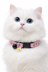 White cat wearing a pink floral collar with a bell on a white background, Bee Pendant Premium Quality Nylon Pet Cat Kitten Neck Collar with Bee Pendant Black Bell