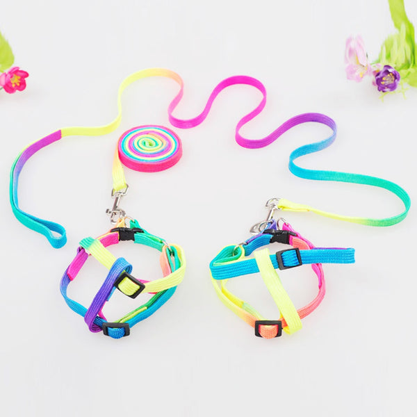 Rainbow Cat Kitten Leash Adjustable Harness Strap