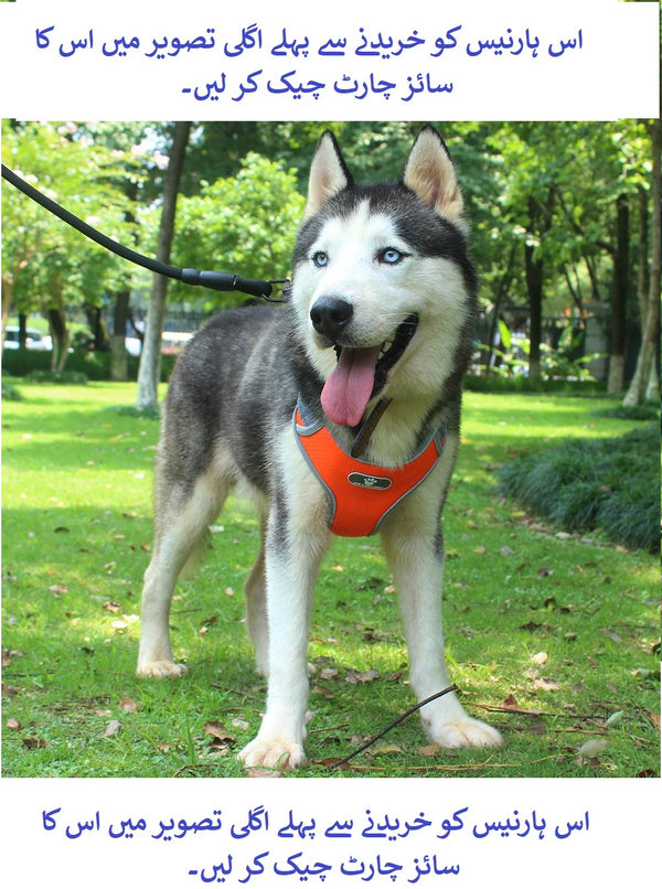 Front Clip Breathable Mesh Lightweight Harness Easy Control Outdoor Walking Vest Retractable
