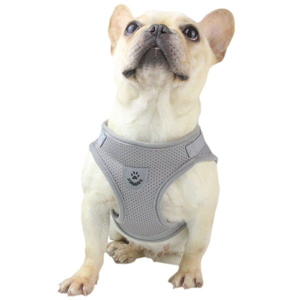 Mesh Harness with Leash Strap Pet Cat Dog Puppy Reflective Nylon