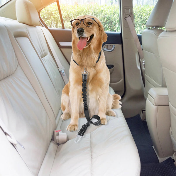 Car Seat Belt Dog Leash Cushioning Elastic Reflective Safety Vehicle Rope