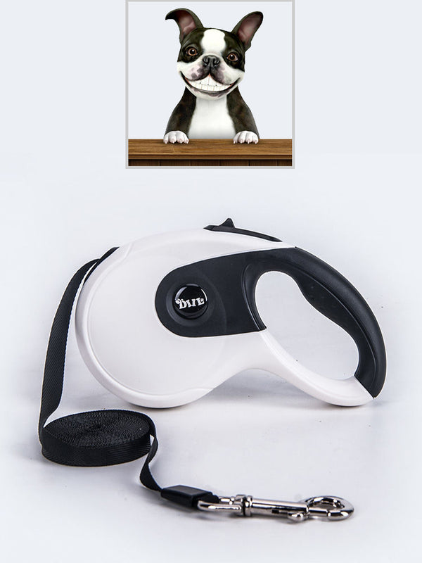 Automatic Reflective Pet Leash Nylon Ribbon Retractable Extendable Walking