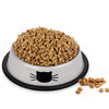 Stainless Steel Bowl For Cats Kitten And Puppies