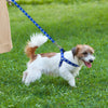 Small Breed Dog Cat Pet Walking Harness with Leash Soft Nylon Paw Pattern