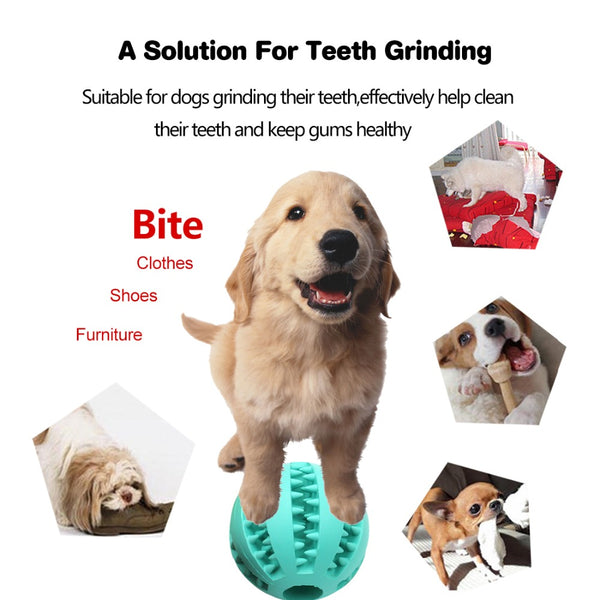 Chew Bite Resistant Toy Bouncy Rubber Balls Pet Dogs Treat Feeder Tooth Cleaning