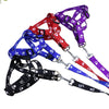 Small Breed Dog Cat Pet Walking Harness with Leash Soft Nylon Paw Pattern