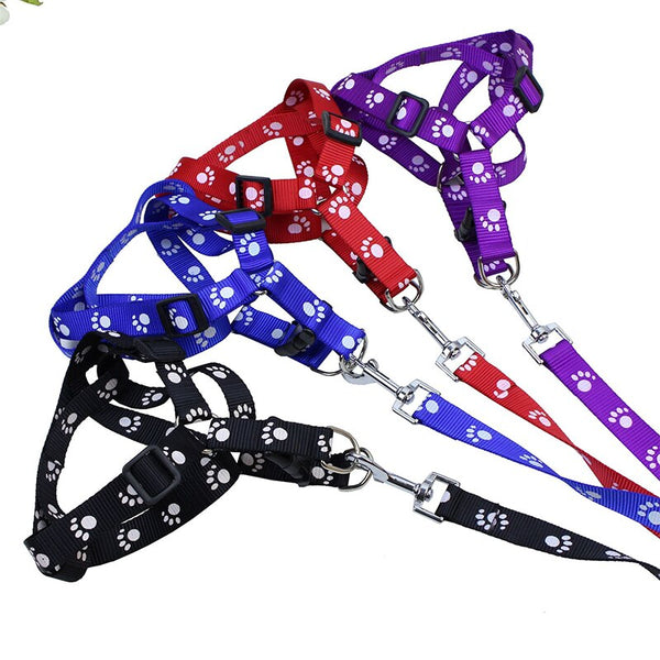 Small Breed Dog Cat Pet Walking Harness with Leash Soft Nylon Paw Pattern