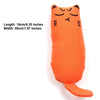 Cat Grinding Catnip Toys Pillow Kitten Chewing Toy Claws Thumb Bite Mint