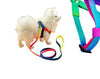 Rainbow Cat Kitten Leash Adjustable Harness Strap