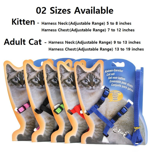 Adjustable Adult Cats And Kitten Leash Harness