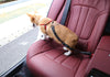 Car Seat Belt Dog Leash Cushioning Elastic Reflective Safety Vehicle Rope