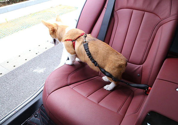 Car Seat Belt Dog Leash Cushioning Elastic Reflective Safety Vehicle Rope