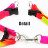 Rainbow Cat Kitten Leash Adjustable Harness Strap