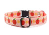Cat Kitten Collar Neck Apple Pendant with Cat Kitten Premium Quality Nylon