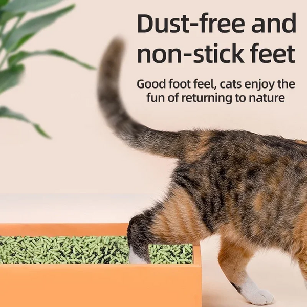 Cat using a dust-free cat litter box with text highlighting benefits