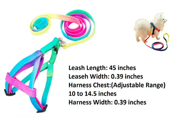 Rainbow Cat Kitten Leash Adjustable Harness Strap