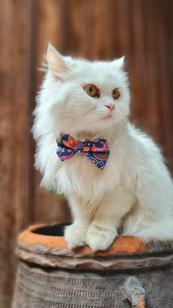 Hand Made Scarf Bow Neck Collar with Bell Cat Kitten Nylon Style