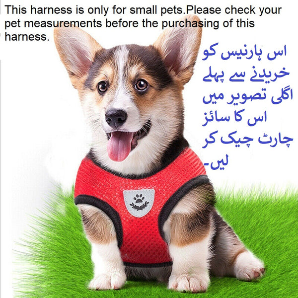 Pet Cat Dog Puppy Breathable Nylon Mesh Harness with Leash Strap