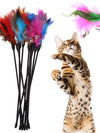 Black Plastic Teaser Stick with Feather Cat Kitten Toy