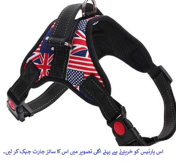 Harness Front Clip Pet Dog Adjustable Breathable Mesh Lightweight Easy Control for Outdoor Training