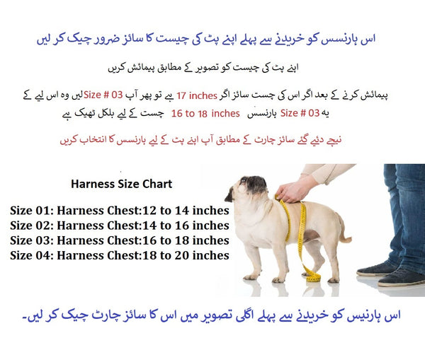 Pet Cat Dog Puppy Nylon Mesh Elephant and Duck Face Harness with Leash Strap