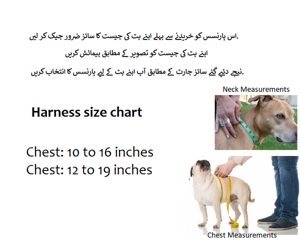 Small Breed Dog Cat Pet Walking Harness with Leash Soft Nylon Paw Pattern