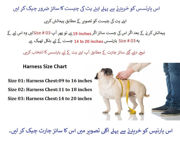 Pet Cat Dog Puppy Nylon Mesh Harness with Leash Strap