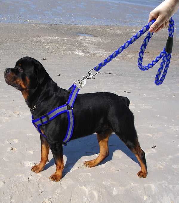 Dog Pet Puppy Adjustable Harness Set Reflective Blue Braided Traction Nylon Rope