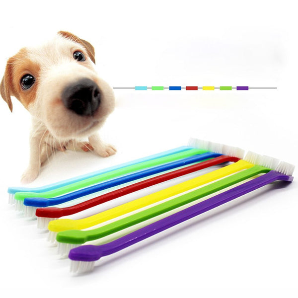 Oral Care Removes Pet Stains Whiten Toothbrush Cat Kitten Gums