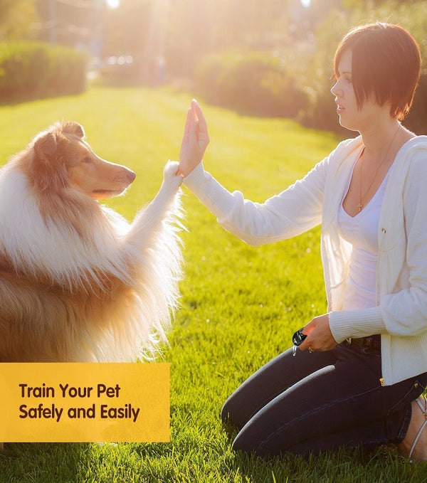 2 In 1 Pet Dog Training Clicker Cat Training Whistles