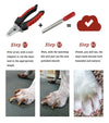 Cat Nail Clipper Cutter Pets Toe Care Stainless Steel Scissors Grooming Trim with Nails Filer