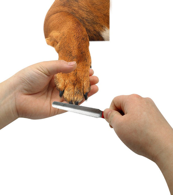 Cat Nail Clipper Cutter Pets Toe Care Stainless Steel Scissors Grooming Trim with Nails Filer