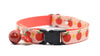 Cat Kitten Collar Neck Apple Pendant with Cat Kitten Premium Quality Nylon