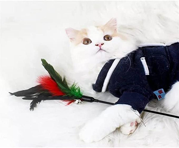Black Plastic Teaser Stick with Feather Cat Kitten Toy