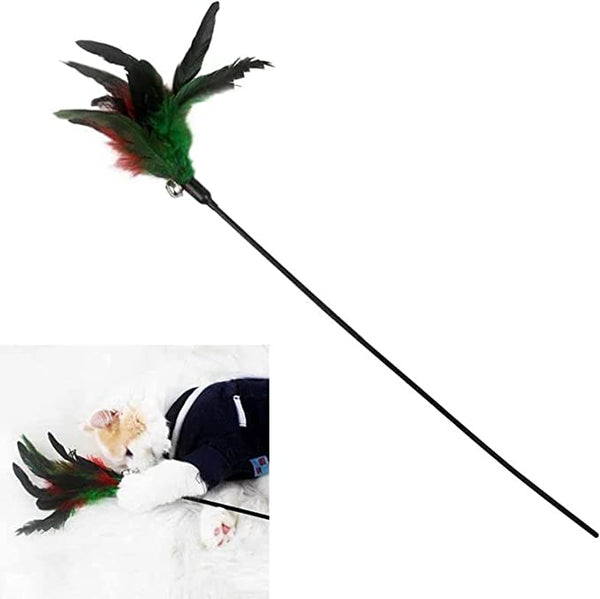 Black Plastic Teaser Stick with Feather Cat Kitten Toy