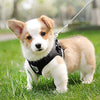 Mesh Harness with Leash Strap Pet Cat Dog Puppy Reflective Nylon