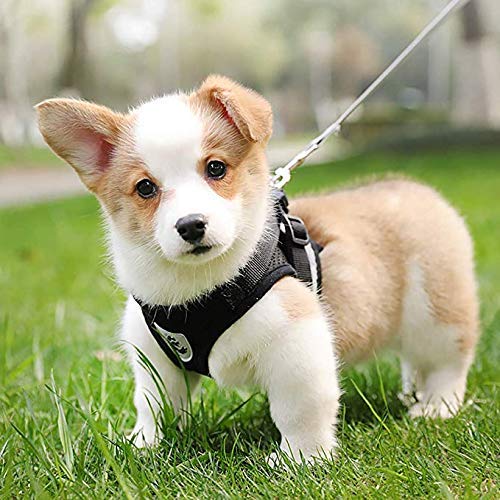 Mesh Harness with Leash Strap Pet Cat Dog Puppy Reflective Nylon