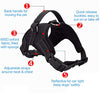 Harness Front Clip Pet Dog Adjustable Breathable Mesh Lightweight Easy Control for Outdoor Training