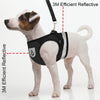 Mesh Harness with Leash Strap Pet Cat Dog Puppy Reflective Nylon