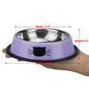 Stainless Steel Bowl For Cats Kitten And Puppies