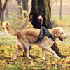 Harness Front Clip Pet Dog Adjustable Breathable Mesh Lightweight Easy Control for Outdoor Training