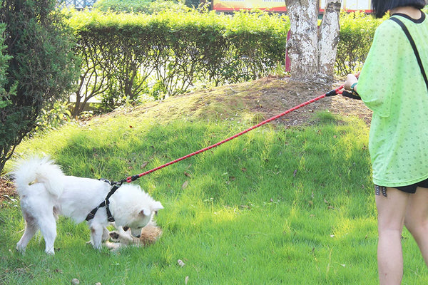 Reflective Braided Rope Pat Walking Big Dog Leash Strengthen Traction